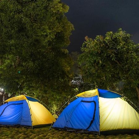 Dandeli Jungle Resort Kültér fotó