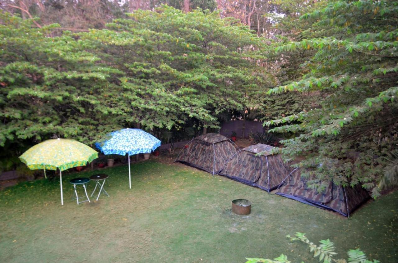 Dandeli Jungle Resort Kültér fotó