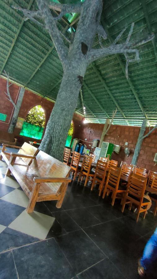Dandeli Jungle Resort Kültér fotó