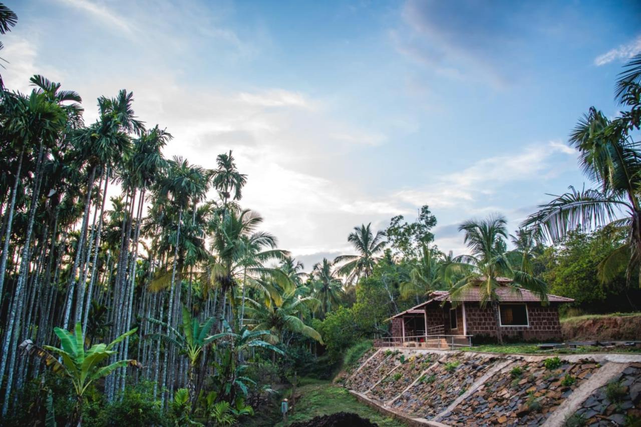 Dandeli Jungle Resort Kültér fotó