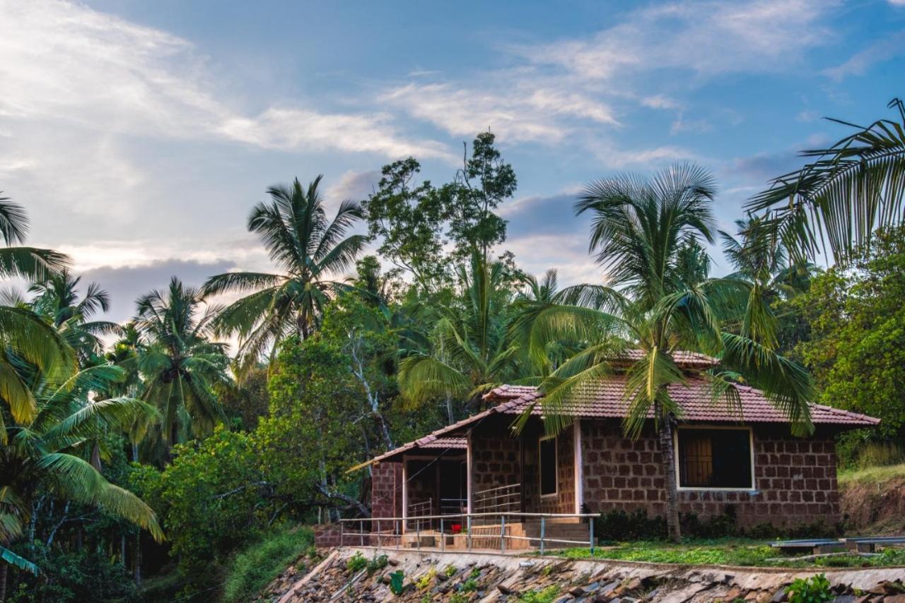 Dandeli Jungle Resort Kültér fotó