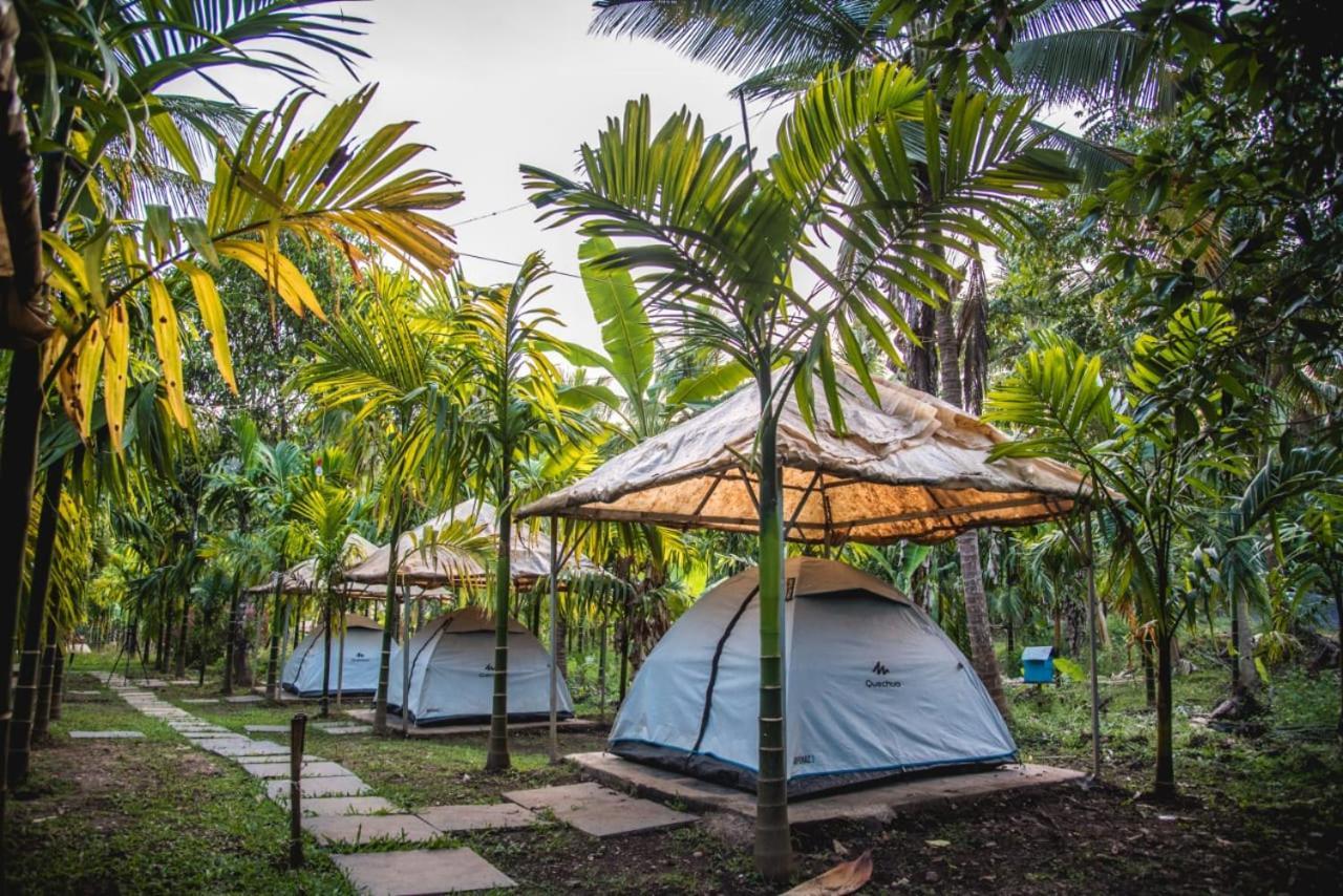 Dandeli Jungle Resort Szoba fotó